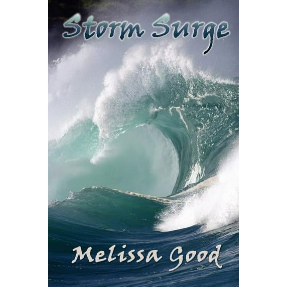 Storm Surge (Paperback)