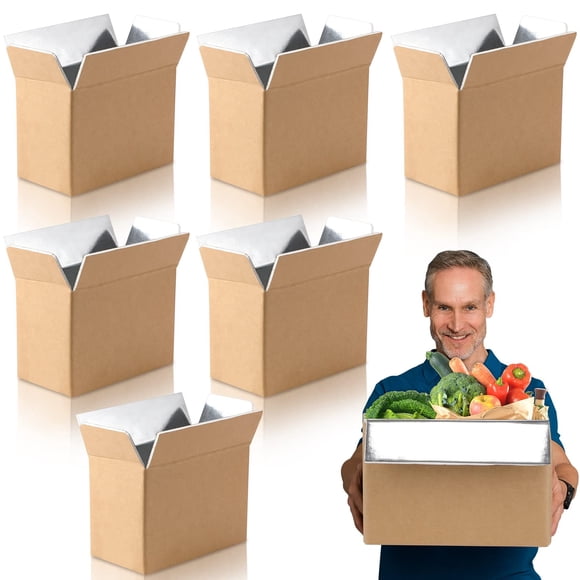 Caja Aislante para Envío Crtiin Paquete de 6 27 x 15.5 x 20 cm Marrón