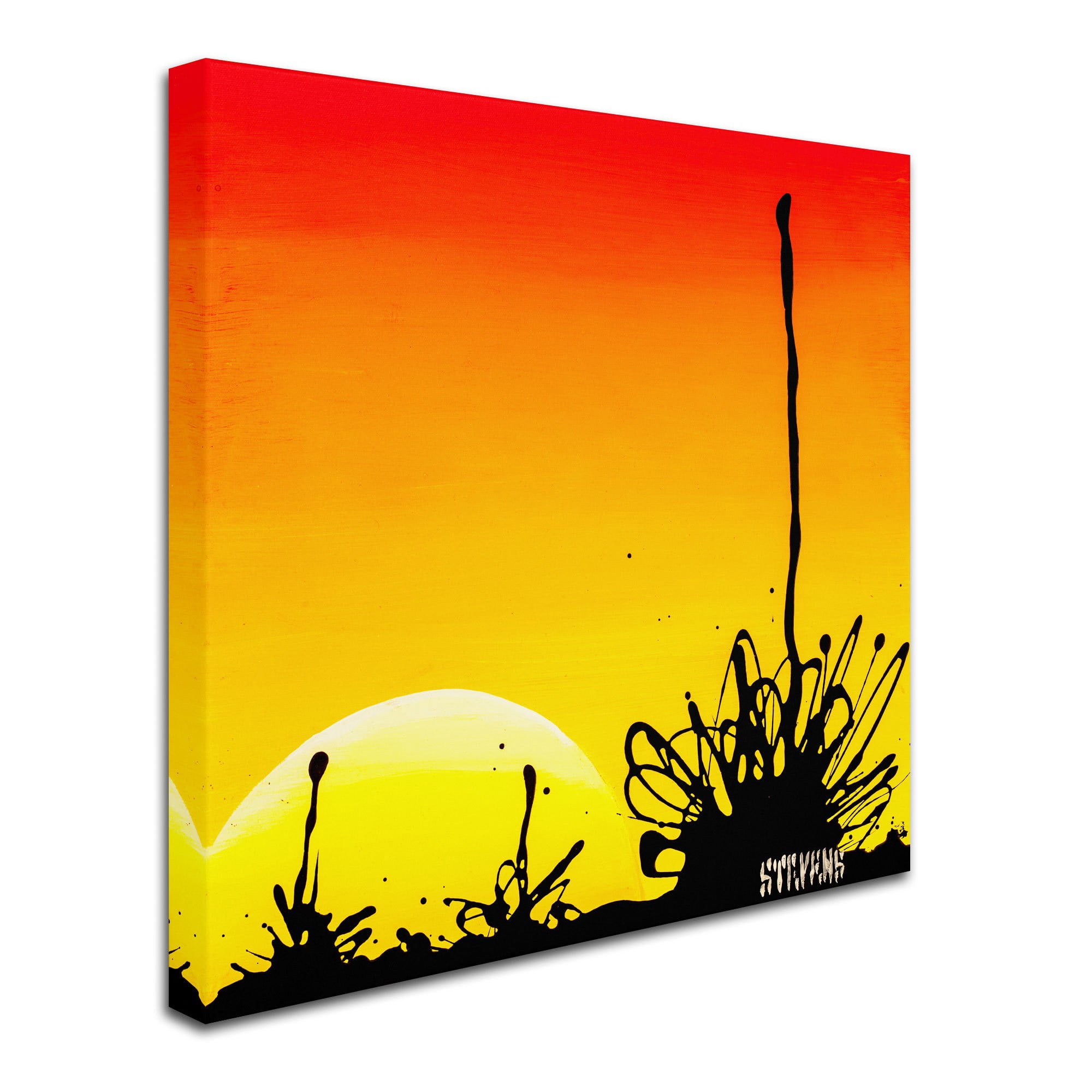 Trademark Fine Art "Century Sunset" Canvas Art by Roderick Stevens