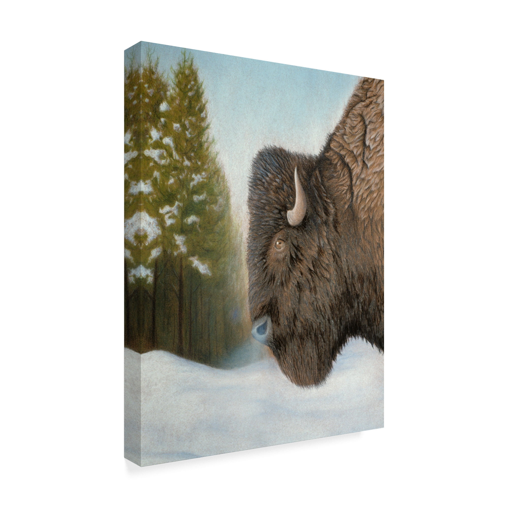 Trademark Fine Art 'Lone Buffalo' Canvas Art by Rusty Frentner