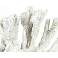 thumbnail image 3 of Decor Coral White Black Polyresin New ZT-2130, 3 of 3