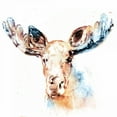 thumbnail image 2 of Selkirk, Edward 12x12 Black Ornate Wood Framed with Double Matting Museum Art Print Titled - Watercolour Moose, 2 of 4