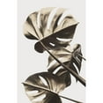 thumbnail image 3 of 1x Studio III 17x24 Black Modern Framed Museum Art Print Titled - Monstera Gold 09, 3 of 5