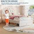 thumbnail image 5 of Memoryfield Twin Size Bed Frame with LED Lights & Velvet Crystal Button Headboard, Upholstered Platform Bed with Storage Drawer, Noise Free, No Box Spring Needed, Beige, 5 of 9