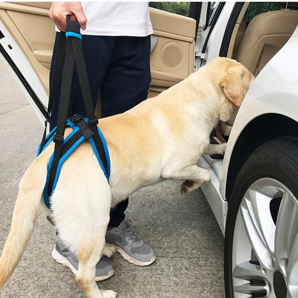 EASTIN Adjustable Dog Lift Harness for Back Legs Pet Support Sling Help Weak Legs Stand Up Pet Dogs Aid Assist Tool Walmart