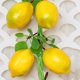 thumbnail image 5 of Decoración de Vegetación de Limón Enredaderas de Guirnaldas de Frutas Artificiales para el Hogar Accesorios de Fotografía de Panadería Pintura Artística ANGGREK Otros, 5 of 8