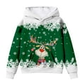 thumbnail image 4 of Byoo Toddler Girls Sweatshirts Cartoon Deer Graphic Crew Neck Long Sleeve Pullover Girls Xmas Autumn Winter Oversized Hoody, 4 of 4