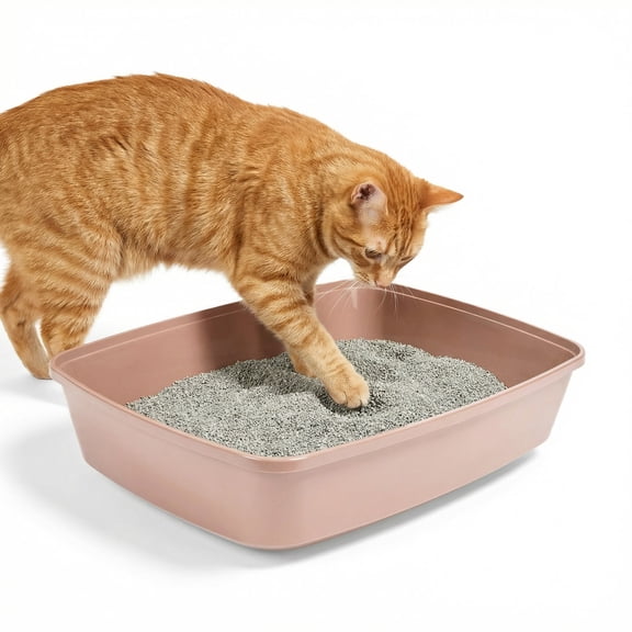 So Phresh Open Cat Litter Box 22.5" L X 16.9" W X 5.4" H Pink X-Large