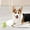 Green, variant on TPR Bone Dog Chew Toys, Indestructible Teething Toy for Aggressive Chewers, Dental Cleaning Toy for Medium & Large Dogs