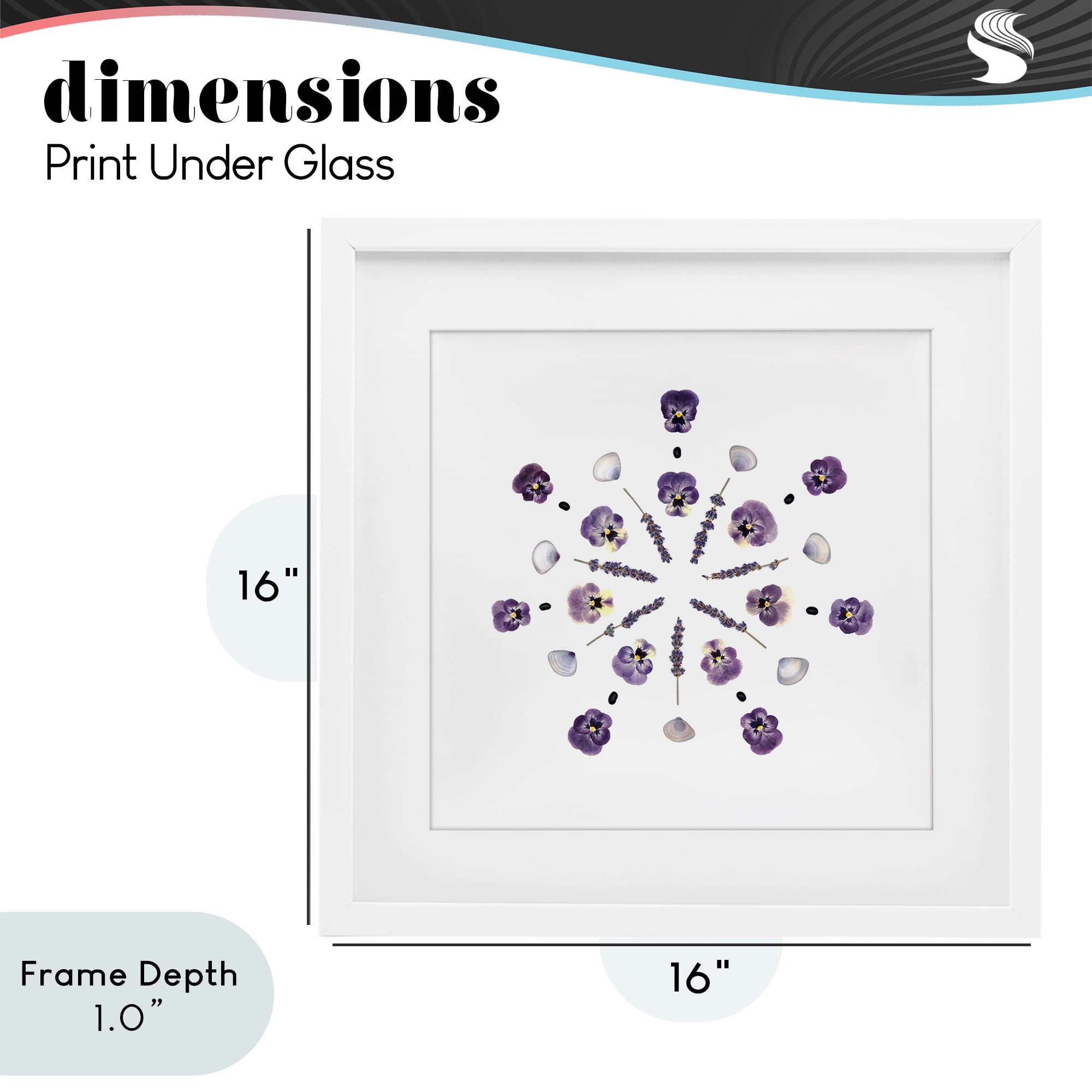 Stupell Industries Pansies & Lavender Symmetry White Framed Print Under Glass, design by Beth Adoette