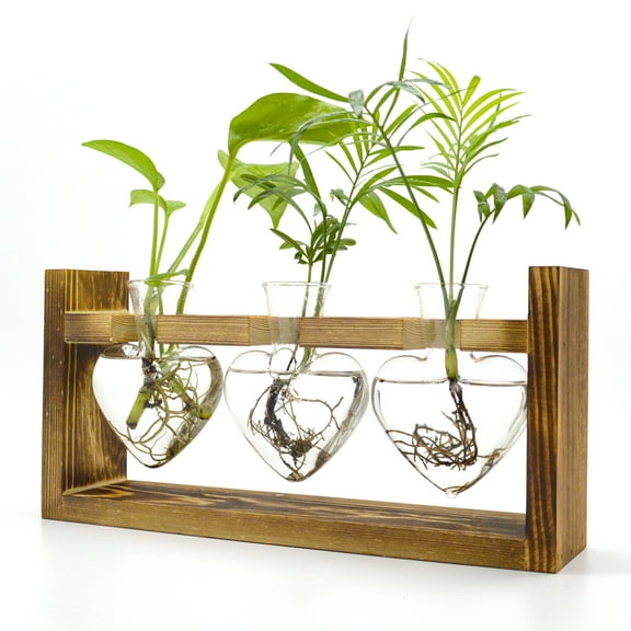 Techshare Heart Glass Plant Terrariums with Wooden Stand (3 Count)