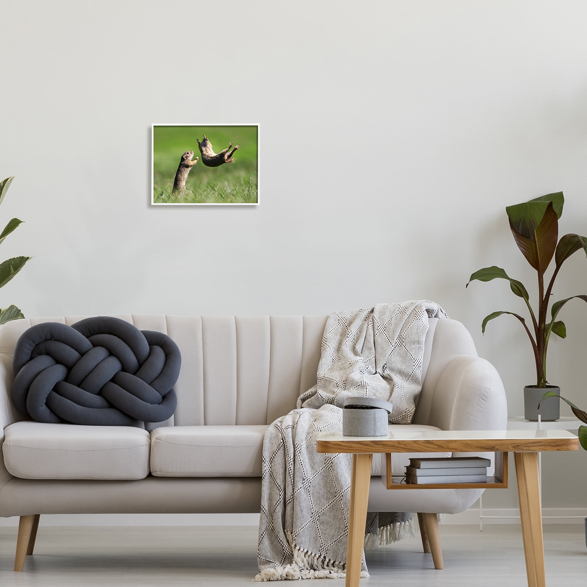 Stupell Industries Prairie Dogs Photography Animals & Insects Photography White Framed Art Print Wall Art, 14 x 11