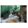 thumbnail image 3 of GOOHOCHY Support en Fer pour Chat, Décoration pour Salon 1Ensemble, 3 of 8