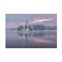 Ales Krivec 'Frozen Fairytale' Canvas Art
