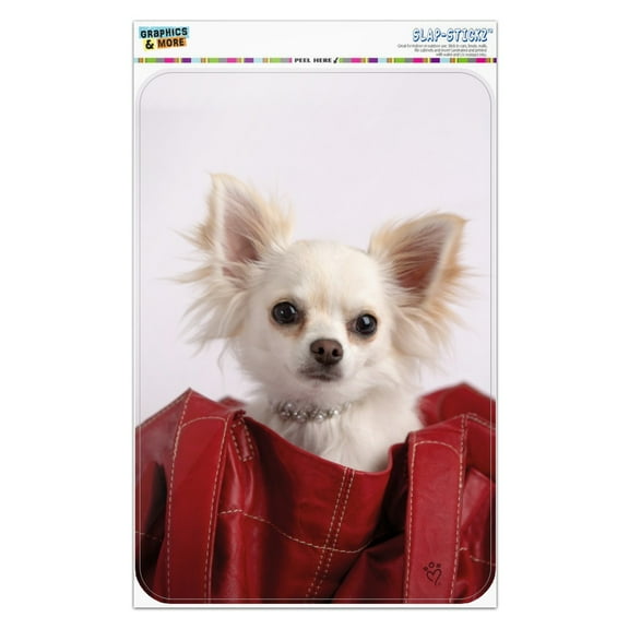 Chihuahua Puppy Dog in Handbag Home Business Office Sign