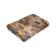 thumbnail image 6 of Wijzvio Dachshund Dog Throw Blanket Soft Fuzzy Fleece Blanket For Couch Bed Living Room Decoration 80"X60", 6 of 9