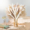 thumbnail image 6 of Ipopu Natural Dried Pampas Grass Flower Bouquet - 95 Stems, 17 Inches Tall, 0.42 lbs, Ideal for Home & Gift Decoration, 6 of 6