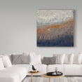 thumbnail image 4 of Trademark Fine Art Hilary Winfield View Of Nature Orange Gray Canvas Wall Art - 35x35, 4 of 4