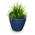 thumbnail image 1 of Jardinière haute Modesto 51 cm, 1 of 3