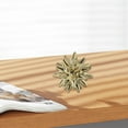 thumbnail image 3 of deevoka Sea Urchin Ornament Abstract Sea Urchin Statue for Bedroom Bookshelf Kitchen, 3 of 8
