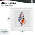 thumbnail image 3 of Stupell Industries Coastal Sunrise Conch Shell White Framed Print Under Glass, 16 x 16, by Shelly Craig, 3 of 7
