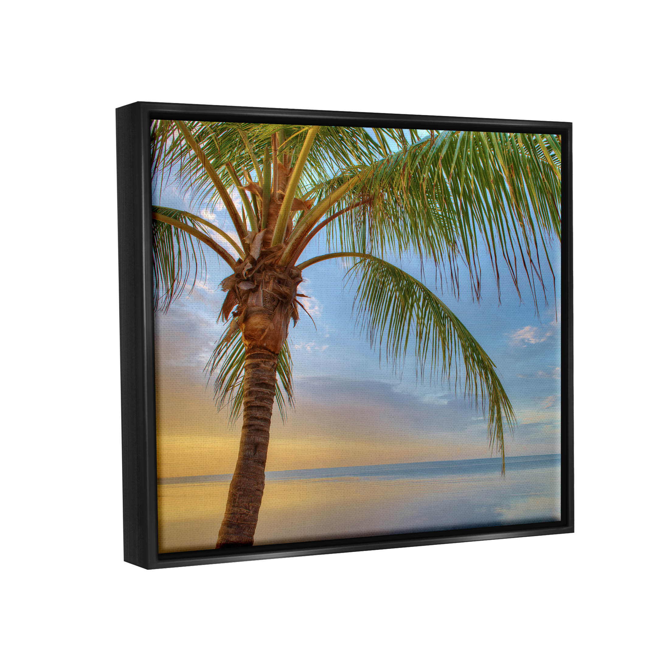 Sunrise Palm Tree Sky Reflection Coastal Photograph Jet Black Framed Art Print Wall Art