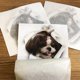 thumbnail image 4 of Pegatinas de vinilo para coche. Pegatinas divertidas y creativas para perros. Pegatinas para ventanas, paredes, puertas y capó. Pegatinas para perros., 4 of 4