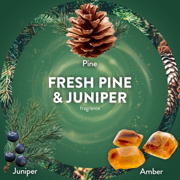 Air Wick Plug-In Scented Oil Warmer Refills, Fresh Pine & Juniper, 6 Count