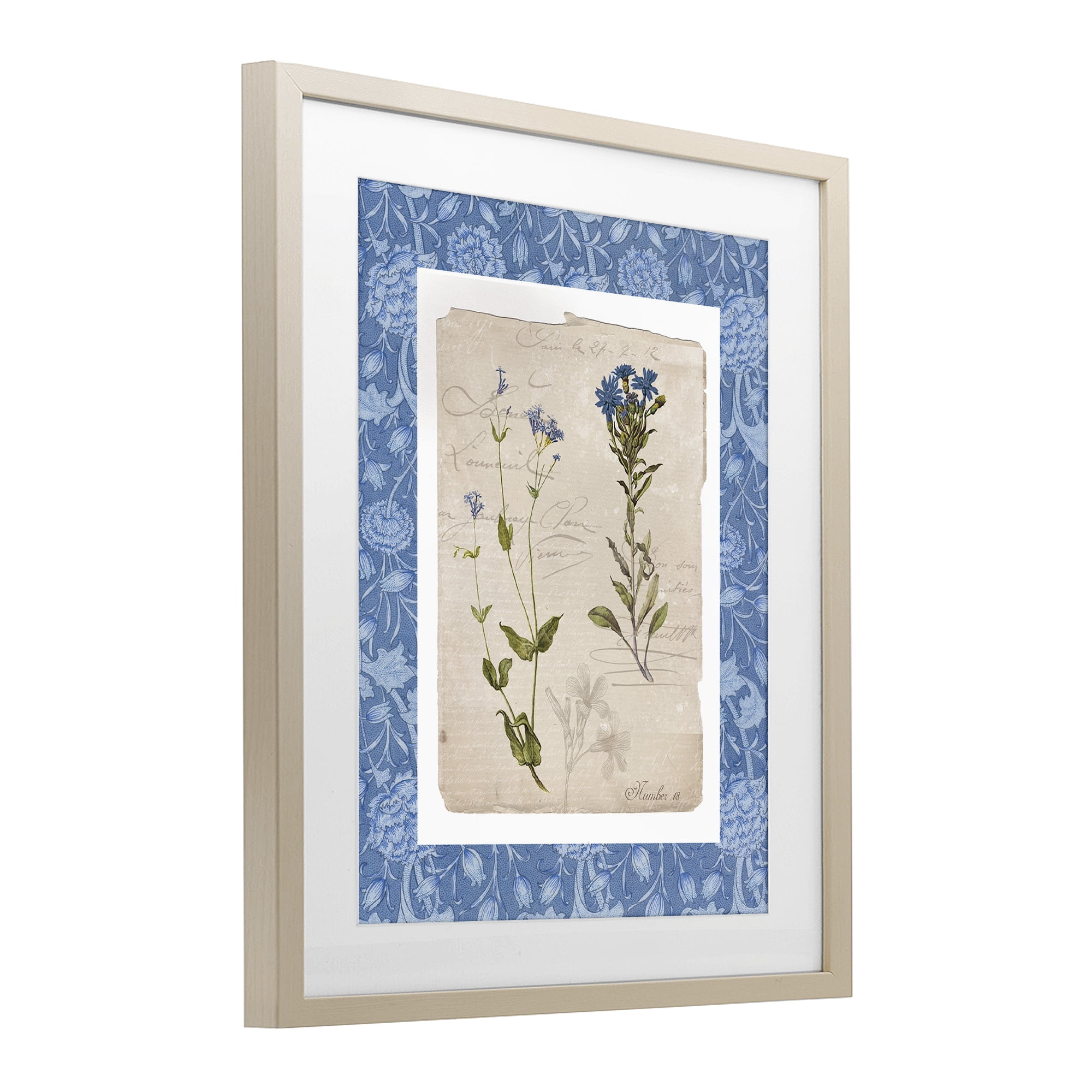 Stupell Industries Blue Vintage Botanicals Birch Framed Print Under Glass, design by Livi Finn