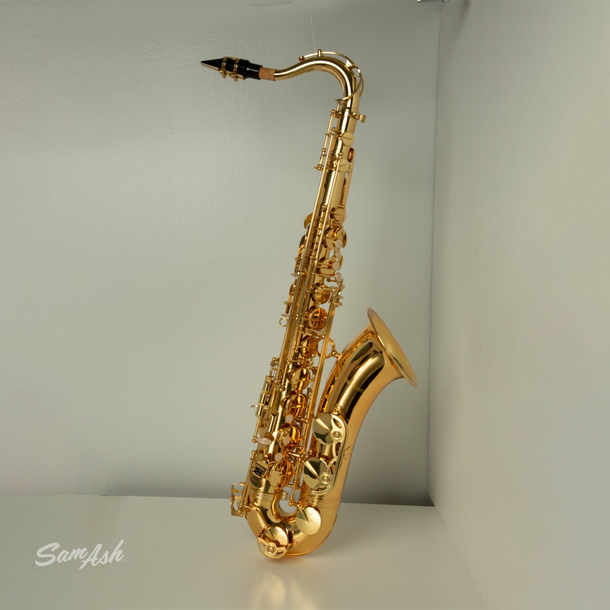 Benjamin Adams TS100 Tenor Saxophone