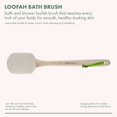 thumbnail image 4 of Cepillo de baño EcoTools Loofah con mango largo para exfoliación, 2 unidades, 4 of 9