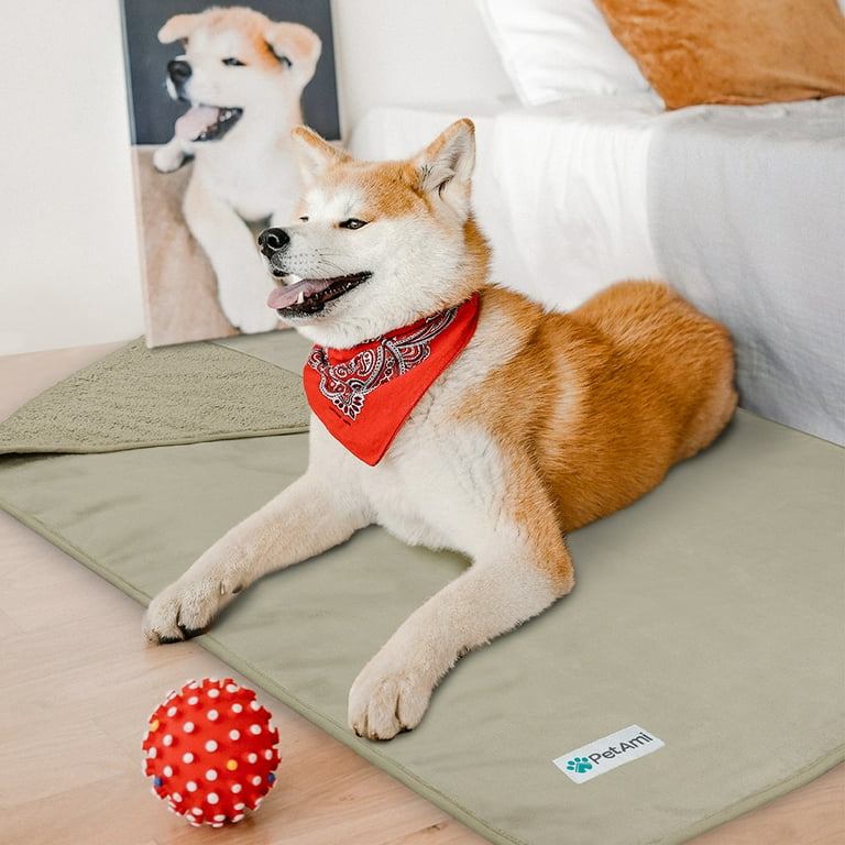 PetAmi Waterproof Dog Blanket For Medium Large Dogs Pee Proof Pet Blanket Sherpa Fleece Couch Cover Reversible Cat Throw Bed Sofa Protector Soft Plush Washable Pad Large 40x60 Taupe Walmart