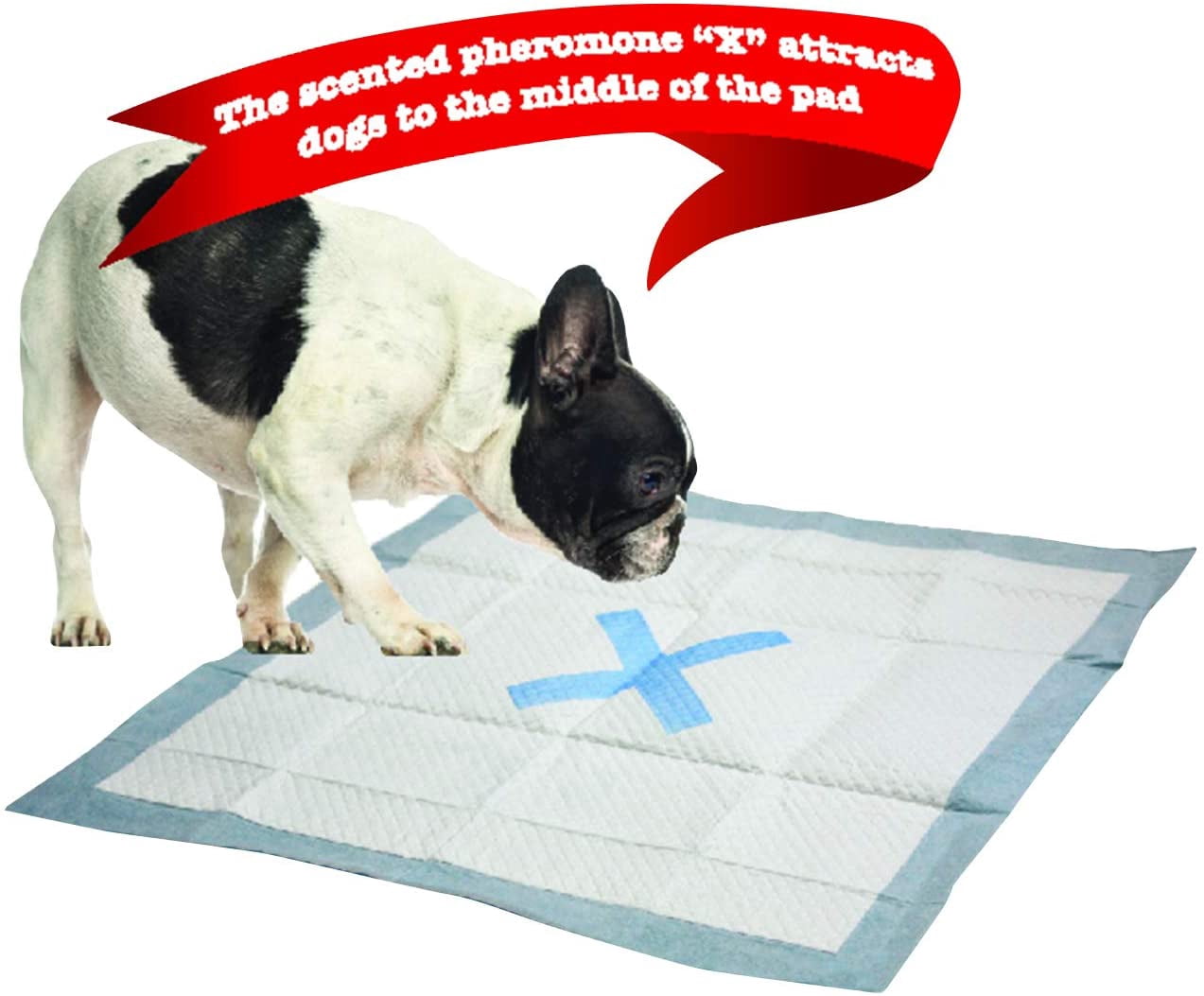 SPOT X Marks The Super Absorbent Pee Pads | Puppy Pads | Puppy Pads with Adhesive | Training Pads | Dog Pads | Dog Pee Pads | Dog Potty Pads | Adhesive Strips | 22"X22" | 50 CT