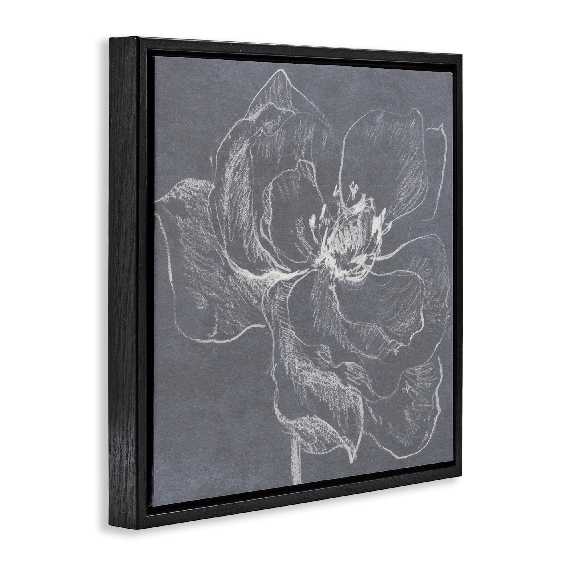 Stupell Industries Magnolia Doodle Outline Plants & Flowers Drawing Black Floater Framed Canvas Art Print Wall Art, 25 x 25