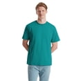 thumbnail image 3 of Fruit of the Loom  Adult Pure Cotton T-Shirt, 3 of 4
