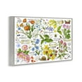 thumbnail image 4 of Stupell Industries Various Herbs Benefits Botanical & Floral Painting Gray Framed Art Print Wall Art, 24 x 16, 4 of 10