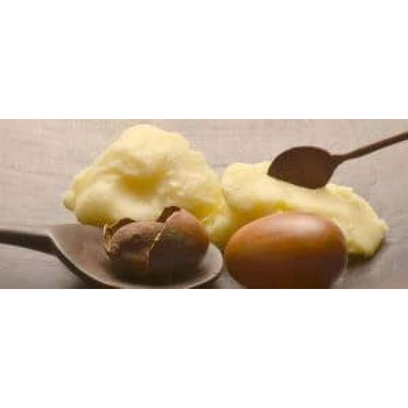 Shea Butter Nilotica Creamy Luxurious Velvety Butter From East Africa Hair And Body Care (8oz)