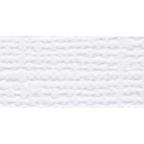 Bazzill Fourz Cardstock 8.5"X11"-Avalanche/Grasscloth