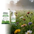 thumbnail image 5 of Neem Oil, Peppermint Plants Spray, 60ml for Natural Leaf Cleaning and Care, Suitable for Indoor and Outdoor Plants, Gentle Ingredients, 5 of 9