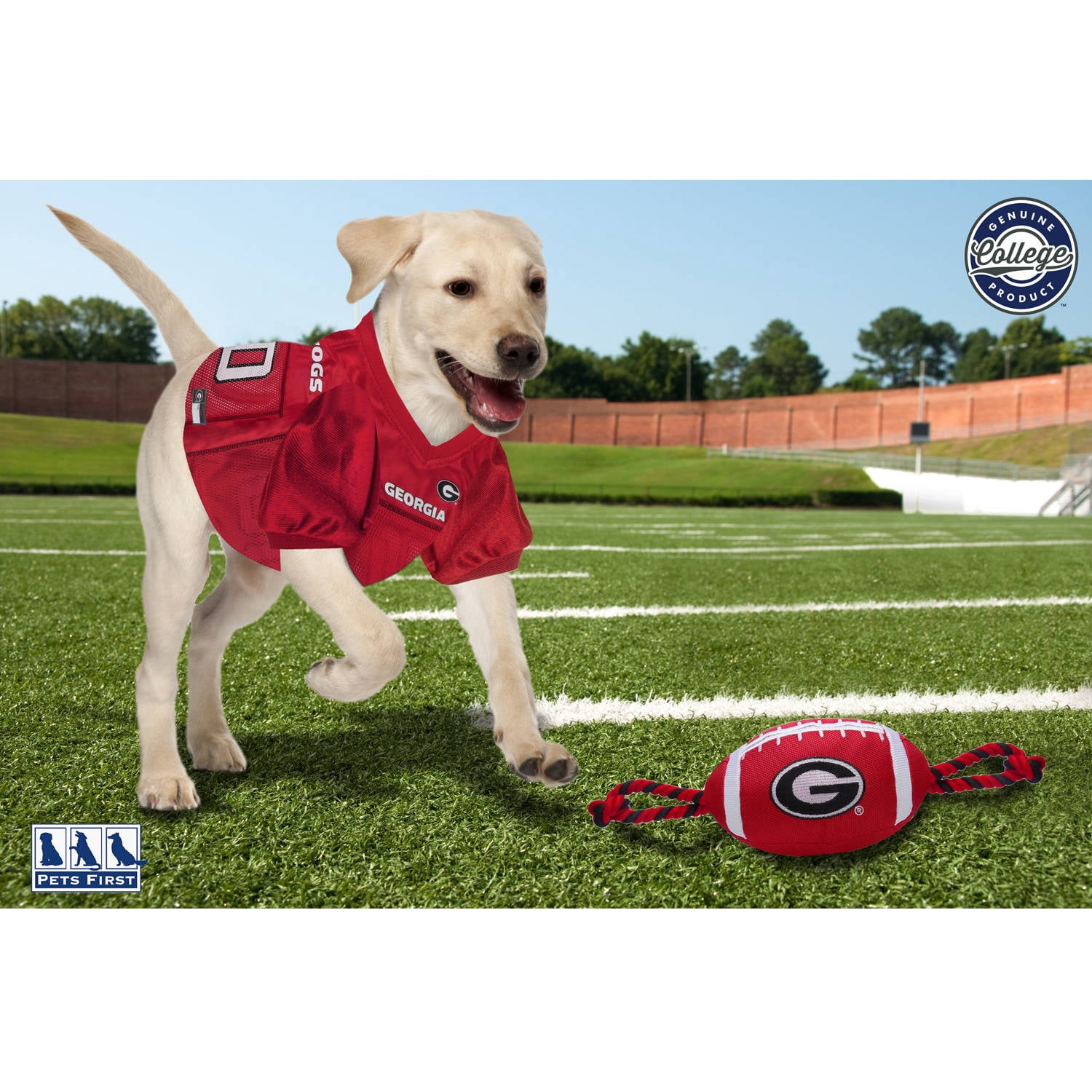 Pets First Collegiate Georgia Nylon Football-Licensed