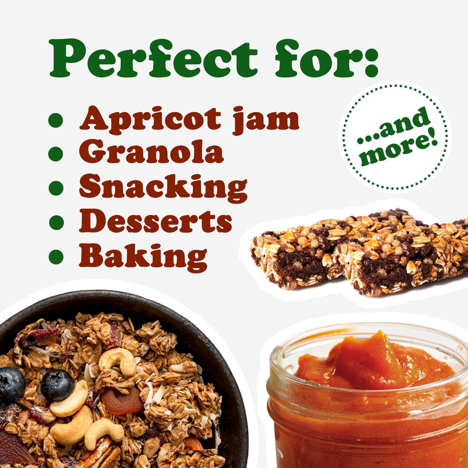 Organic Dried Apricots, 1 Pound — Non-GMO, Kosher, Raw, Vegan — by Food to Live