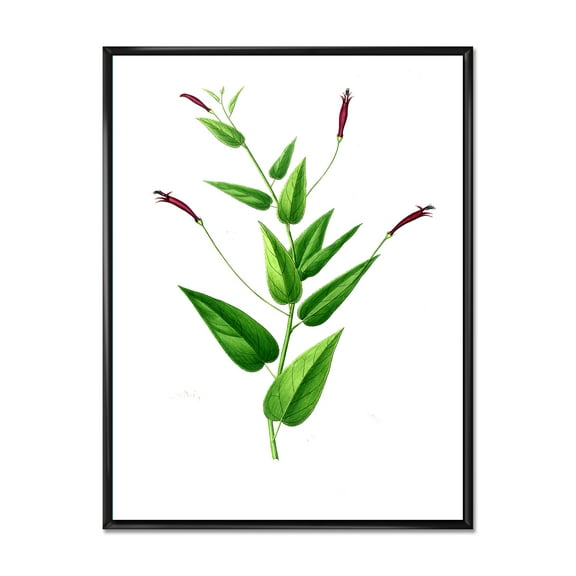 Ancient London Plants VII' 12" x 20" Framed Painting Canvas Art Print, by Designart