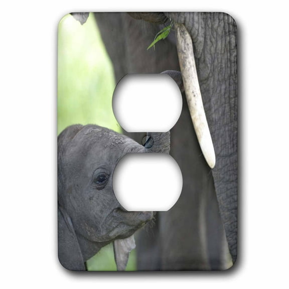 3dRose, African elephant baby with mother - NA02 BJA0018 - Jaynes Gallery, 2 plug outlet cover