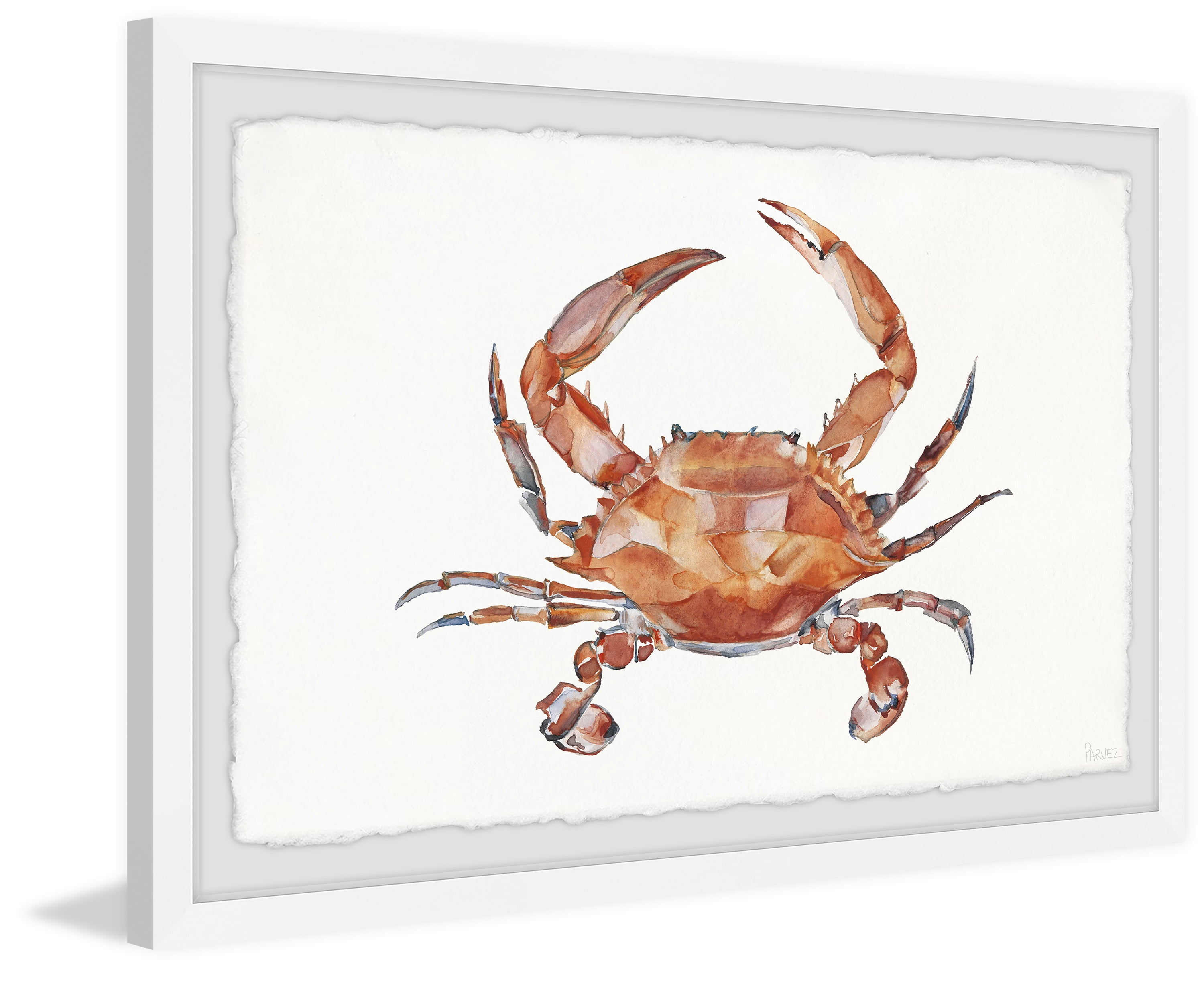 Parvez Taj Printed Animals & Insects Framed Art Prints