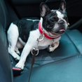 thumbnail image 7 of Dog Car Safety Seat Belt,YuCool 2 Pack Chew Proof Steel Cable Restraint Vehicle Belt Fit for Large, and X-Large Dogs, 7 of 7