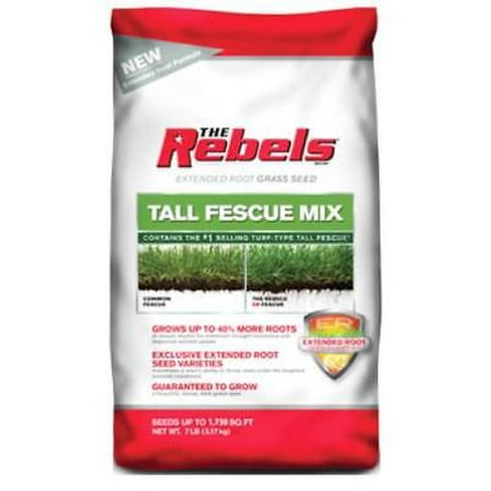 7 LB, Rebel Tall Fescue Grass Seed, Contains the#1 Selling Turf-Type Tall