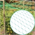 thumbnail image 5 of Red protectora antipájaros Apuakthei para árboles frutales de jardín, red de malla verde para jardín, 5 x 20 metros, 5 of 5