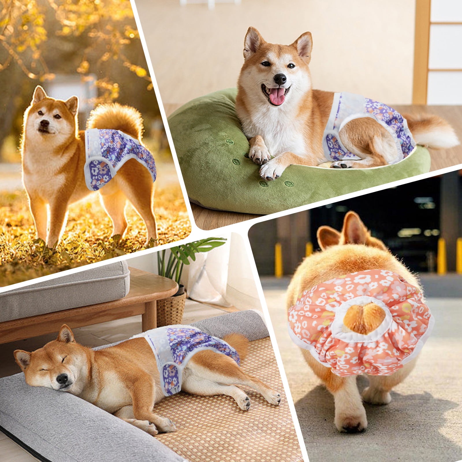 BELLA & PAL Pink & Purple & Green Female Dog Diapers, 3-Pack, Highly Absorbent Washable Diapers for Small Dogs, Leak-Proof Puppy Diapers, L