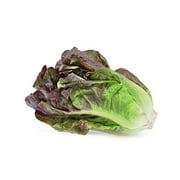 Red Romaine Lettuce Seeds, 1000 Heirloom Seeds Per Packet, Non GMO Seeds