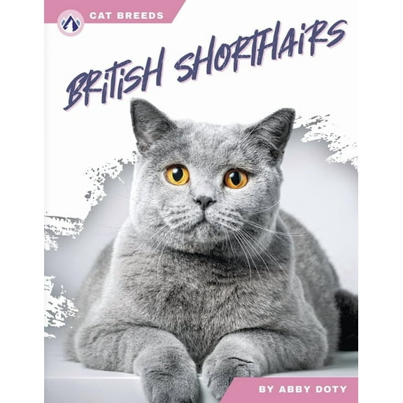 British Shorthairs, (Hardcover)